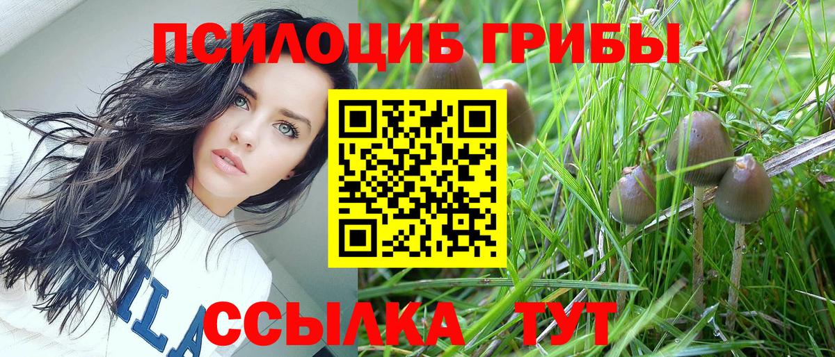 Псилоцибиновые грибы MAGIC MUSHROOMS  где можно купить   Аксай  Вход с VPN 
